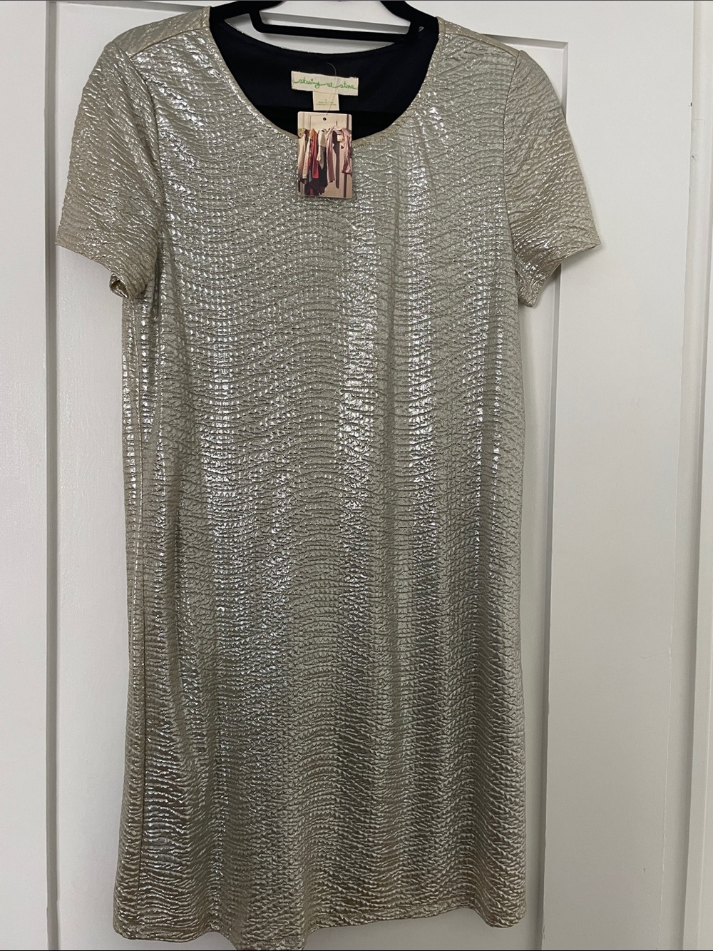 Staring at Stars Metallic Silver Mini Shift Dress